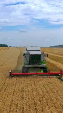 Modern biçerdöveri mavi gökyüzünün altında birleştirin. Yaz mevsiminde altın bir tarlada olgun buğday toplama makinesi. Ön manzara. Dikey video