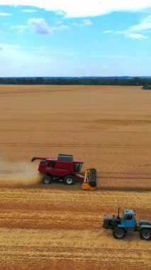 Mevsimlik işlerde tarım makineleri. Kırmızı hasatçıları yaz aylarında tarlada yetişmiş mahsulleri topluyor. Tarlada hareket eden tahıllarla dolu bir traktör. Dikey video