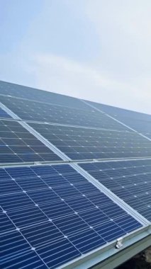 Güneş ışığında güneş pili üretimi. Modern güneş paneli temiz yenilenebilir enerji üretir. Yerde fotovoltaik güneş paneli var. Dikey video