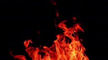 Ateş, sıcacık parlayan kıvılcımlar. İzole edilmiş siyah arkaplanda yangın alevi.