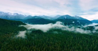 Rainier Dağı parkının üzerindeki bulutlar. Bulutlu Dağ Amerikan doğası.