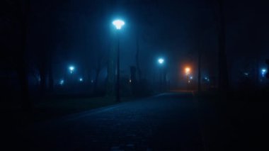 Parktaki Paved sokağı geceleri loş sokak fenerleriyle aydınlatılıyor. Küçük çocuk kapıya doğru koşuyor..