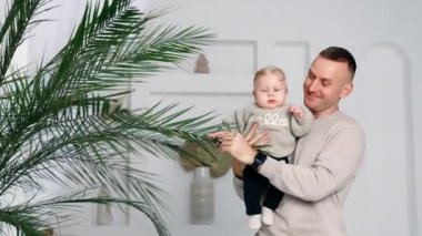 Mutlu baba oğluna evde yetişen bitkiyi gösteriyor. Küçük çocuk ağaca şaşkınlıkla bakıyor..