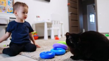 Beyaz çocuk ve siyah kedi yerde oturuyorlar. Küçük çocuk kediyi dikkatle okşar. Kapat..