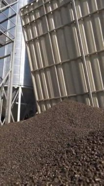 Karışık yem üretimi için bir fabrika. Bileşik beslenme tesisinde endüstriyel ekipman. Tahıl asansörü. Dikey video