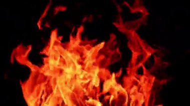 Büyük bir kamp ateşinin sıcak turuncu alevleri havaya yükseliyor. Şenlik ateşinin üst kısmının güzel manzarası. Yakın çekim..