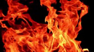 Kamp ateşinin turuncu alevleri. Siyah arka planda yanan büyük şenlik ateşinin yakın görüntüsü.