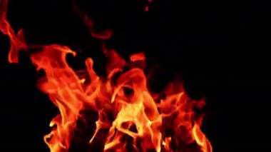 Ahşap kütükleri kaplayan ateşli kırmızı tehlikeli alevlerin dilleri. Kamp ateşi geceleri izole halde yanıyor. Kapat..