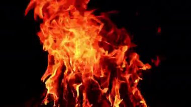 Kamp ateşinde yanan ahşap kütükler. Siyah arka planda izole şenlik ateşi. Kapat..