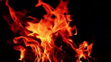 Kamp ateşindeki tahta kütükleri kaplayan kırmızı alevler. Kapatın. Siyah arka planda kamp ateşi.