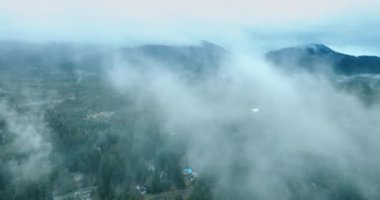 İnsansız hava aracı, yoğun sislerin içinde doğal manzaranın üzerinde uçuyor. ABD 'nin Washington eyaletindeki Mount Rainer Ulusal Parkı' nda çam ağaçları olan vadi manzaraya açılıyor..