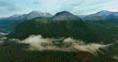 ABD 'nin Washington eyaletindeki Mount Rainer Ulusal Parkı' ndaki dağları ve vadileri kaplayan çam ağaçları. Ormanı kaplayan sis bulutları. Güneş kayaların tepelerini aydınlatıyor. Üst görünüm.