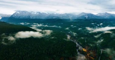 Mount Rainer Ulusal Parkı 'nın muhteşem manzarası, Washington State, ABD. Dağların arasındaki vadideki ormanları yoğun sis kaplıyor. Üst görünüm.