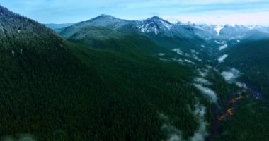 Dağların eteğinde nehrin etrafında büyüyen çam ağaçlarını kaplayan sis. Mount Rainer Ulusal Parkı 'nın muhteşem karlı dağları, Washington Eyaleti, ABD tepeden tırnağa.