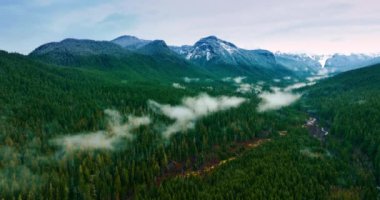 Washington State, ABD 'deki Rainer Dağı Ulusal Parkı' nın görkemli manzarasından yükseliyor. Dağların eteğindeki vadideki ormanın üzerinde beyaz sis bulutları var. Üst görünüm.