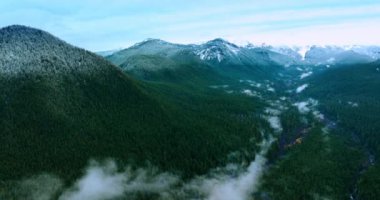 Washington State, ABD 'deki Rainer Dağı Ulusal Parkı' nda çarpıcı yüksek dağlar. Evergreen çam ağacı ormanı bölgeyi kaplıyor. Üst görünüm.