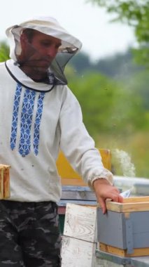 Arı yetiştiricisi arıda çalışıyor. Bir arı kovanının dikey görüntüsü