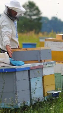 Arıcı güneşli bir günde bal peteği dolusu arıyla çalışır. Dikey video