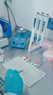 Klinikte çalışan bir araştırmacı. Laboratuvar çalışanı kan örnekleri için rafa dizilmiş. Dikey video