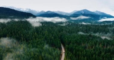 Dağlarla çevrili yeşil çam ağaçlarının muhteşem manzarası. Yoğun beyaz sis ormanı ve kayaları kaplıyor. Araba ormanı geçerken yoldan geçer. Mount Rainier Ulusal Parkı, Washington Eyaleti, ABD.