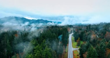 Rainier Dağı Ulusal Parkı 'nın güzel manzarasının üstünde uçuş. Washington eyaletinde, ABD 'de. Çam ağaçlarının tepeleri sisle kaplıdır. Otobanın üst manzarası bölgeyi geçiyor..