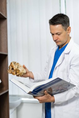 Med professional examines anatomical model in clean lab. A lab technician examines an anatomical model while consulting a textbook in a bright clipart