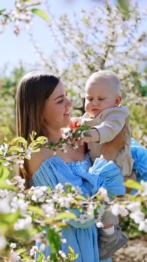 Annesinin kucağında tuttuğu güzel sarışın oğlan çiçek açan ağaç dalına dokunuyor. Mutlu anne ve oğul baharda bahçede. Dikey video.