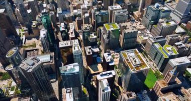 Çatılarında yeşil çimen olan yüksek binalar. İHA görüntülerinden Chicago Mimarisi.