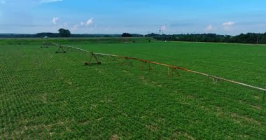 Çiftlikteki sulama sistemi boyunca görüntüler. Yazın doldurulan yeşil tarımın üzerinde uçmak.
