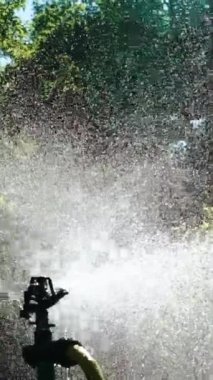 Bahçe sulama ekipmanı. Bahçede su verme tekniğine yakından bak. Dikey video