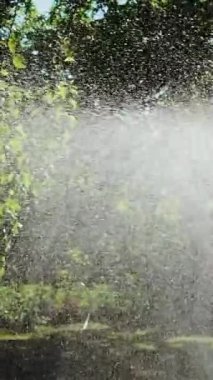 Sulama bahçesinin modern aygıtı. Çimenli su püskürtücü bahçedeki yeşil çimlerin üzerine su püskürtüyor. Dikey video