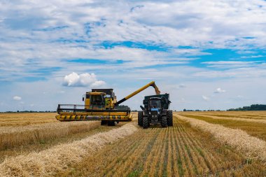 Mavi gökyüzünün altındaki altın tarlalarda çalışan makineler. Büyük hasat ekipmanları gün boyunca altın tarlalarda etkili bir şekilde çalışır.