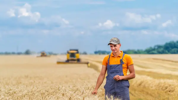 stock image Young farmer harvesting wheat in a sunny field during summer. A farmer dressed in work attire smiles while walking through a wheat field