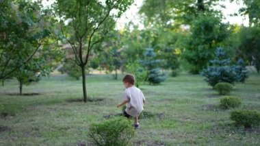 Küçük çocuk topunu almak için yeşil çimlerin yanından koşuyor. Toddler topu fırlatıyor, topluyor ve tekrar atıyor. Yazın parkta yürüyen çocuk..