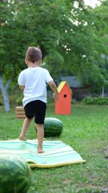 Bahçedeki ekosenin etrafında beyaz tişörtlü ve siyah şortlu şirin erkek bebek koşuyor. Sevimli çocuk büyük bir karpuza yaklaşır ve çimlerin üzerinde yuvarlamaya başlar. Dikey video.