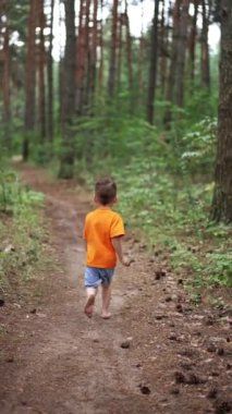 Aktif erkek bebek ormanda yalınayak koşuyor. Çam ağacı ormanlarında faydalı bir yürüyüş. Bir çocuk için sağlıklı bir yaşam tarzı. Dikey video.