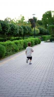 Küçük çocuk, parkta topuna yetişmeye çalışıyor. Yazın dışarıda oyun oynuyorum. Dikey video.