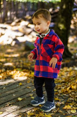Renkli ceketli bir çocuk yaprak kaplı bir yolu keşfediyor. Parlak ceketli küçük bir çocuk sonbahar yapraklarıyla kaplı bir patika boyunca mutlu bir şekilde yürür ve doğanın tadını çıkarır..
