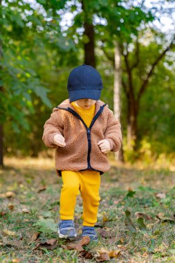 Yavru bir sonbahar gününde ormanlık bir bölgeyi keşfediyor. Rahat kıyafetler giyen genç bir çocuk yemyeşil bir ormanda yürüyor.