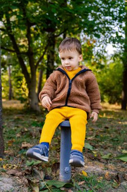 Yavru sonbaharda bir orman ortamında eğleniyor. Küçük bir çocuk sıcacık giysiler içinde küçük bir direğe oturur.