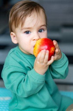 Yeni yürümeye başlayan çocuk, evin içinde otururken taze elmanın tadını çıkarıyor. Küçük bir çocuk parlak kırmızı bir elma tutuyor.