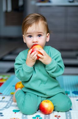 Küçük çocuk paspasın üzerinde otururken taze elmaların tadını çıkarıyor. Yeşil elbiseli küçük bir çocuk otururken memnuniyetle elma yer.