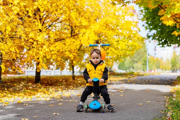Genç bir çocuk canlı bir sonbahar parkında renkli bir scooter kullanıyor. Sarı yelekli bir çocuk, altın sonbahar yapraklarıyla çevrili bir yolda scooter sürmekten hoşlanır..