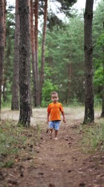 Çocuk ormanda çam kozalaklarıyla yalınayak koşuyor. Doğa ile bağlantılı olarak sağlıklı bir şekilde büyümek. Dikey video.