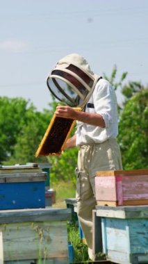 Koruyucu şapka takan bir akrobat çerçeveyi elinde tutuyor. Arıcı aletin yardımıyla çerçeveyi çizer. Doğa arkaplanı. Dikey video
