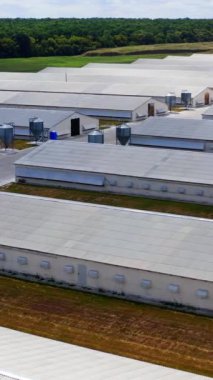 Yeşil orman arka planında tarım için beyaz binalar. Çiftlik hayvanları için modern çiftlik evleri. Doğada yeni bir çiftliğin geniş toprakları. Dikey video