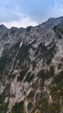 Çevrede büyüyen çam ağaçlarıyla çarpıcı yüksek kayalar. Liechtenstein, Avrupa 'nın en iyi manzarası. FPV insansız hava aracı görüntüleri. Dikey video.