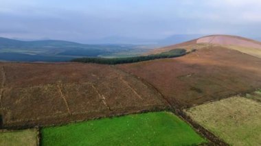 Dağlık bölgedeki devasa vadi ayrı tarım arazilerine bölünmüştür. Arkaplanda su manzarası olan İrlanda 'nın güzel manzaraları. Hava perspektifi.