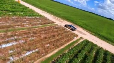 Modern Tesla Cybertruck yerden hızla geçiyor. FPV İHA tarım arazisindeki gelecekteki aracı takip ediyor.