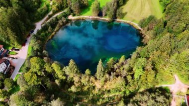 İçinde ağaç gövdeleri olan koyu mavi bir göl. Christlessee Gölü, Oberstdorf, Bavyera Alpleri, Avrupa.